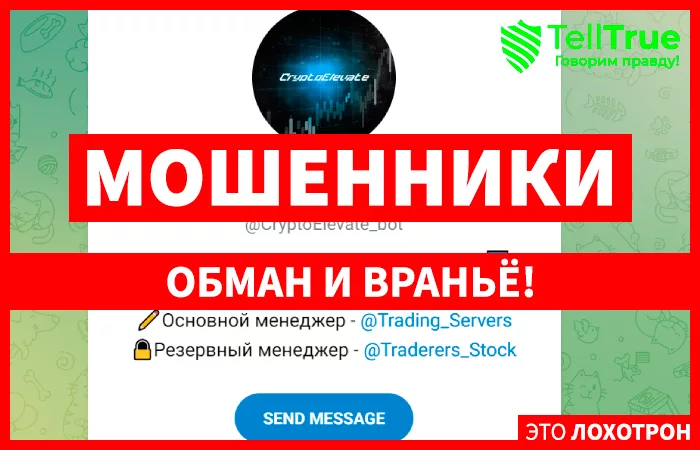 Crypto Elevate