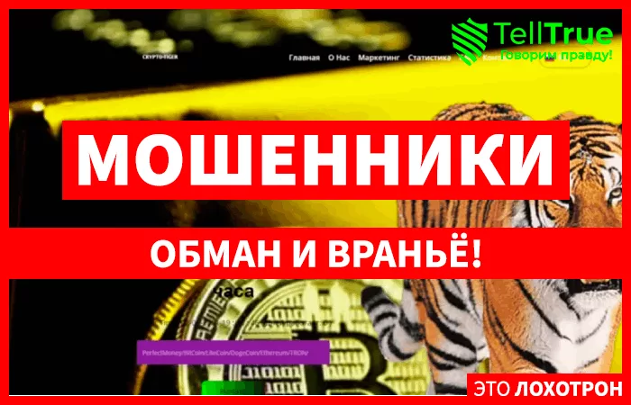 Crypto-Tiger (crypto-tiger.vip)