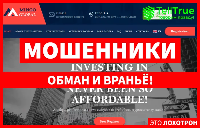Mingo Global Official (mingo-global.org)