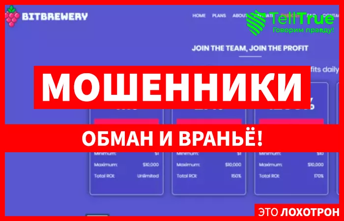 Bitbrewery (bitbrewery.cc)