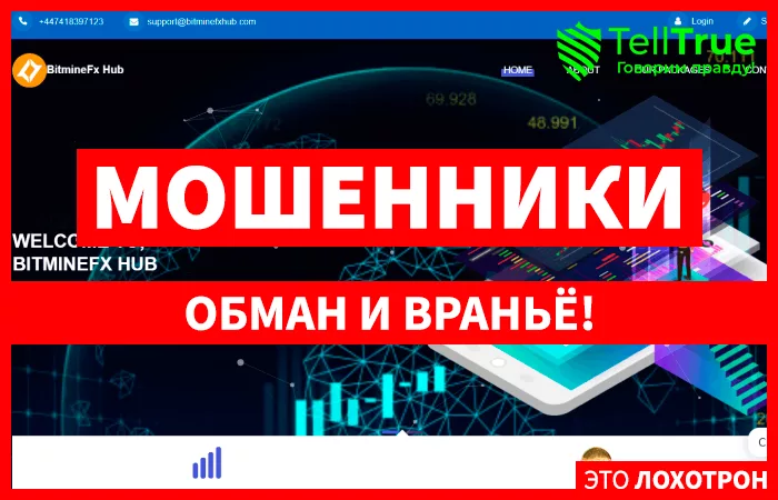 BitmineFx Hub