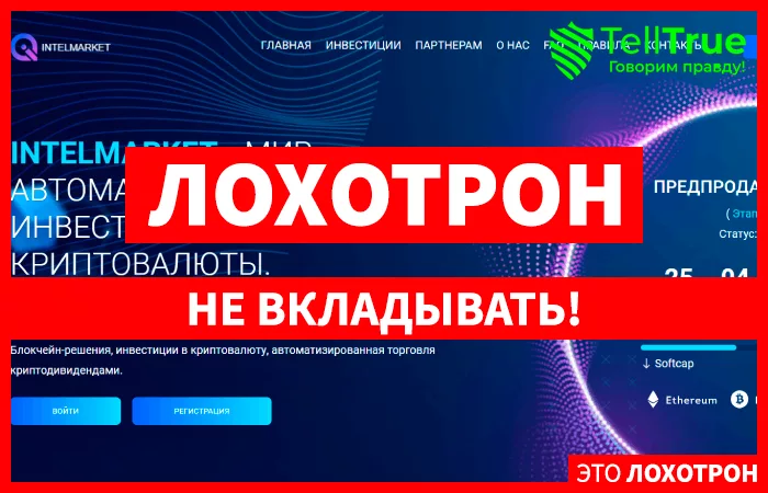 Intelmarket (intelmarket.digital)