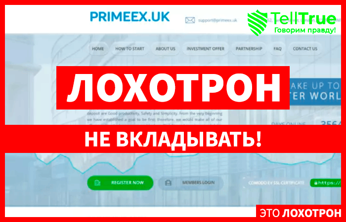 Primeex (primeex.uk)