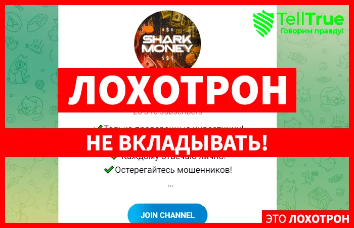 Shark Money