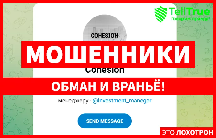 Cohesion