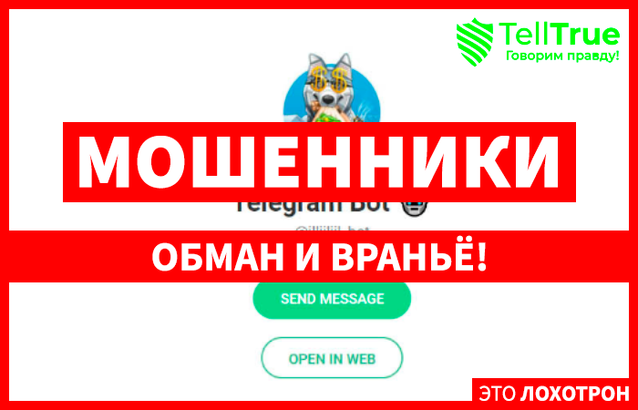 Telegram Bot (t.me/illjiljil_bot)