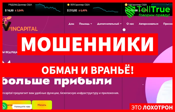 Vincapital (vincapital.net)