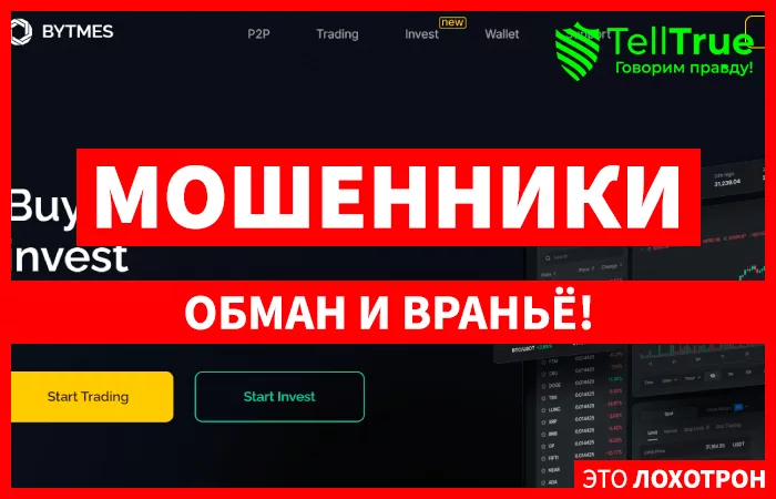 Bytmes (bytmes.com)