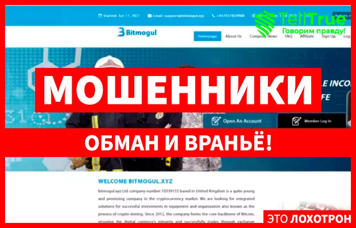 Bitmogul (bitmogul.xyz)