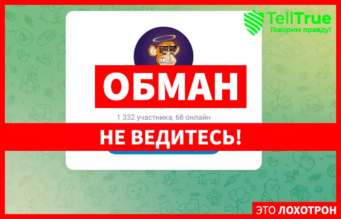 INVST CLUB