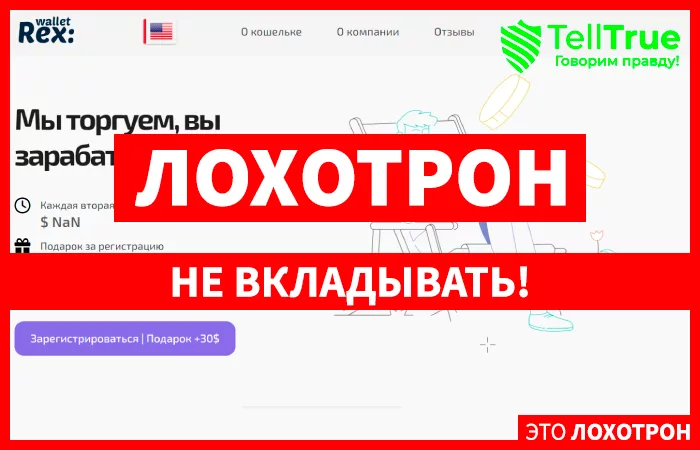 RexWallet (rexwallet.org)