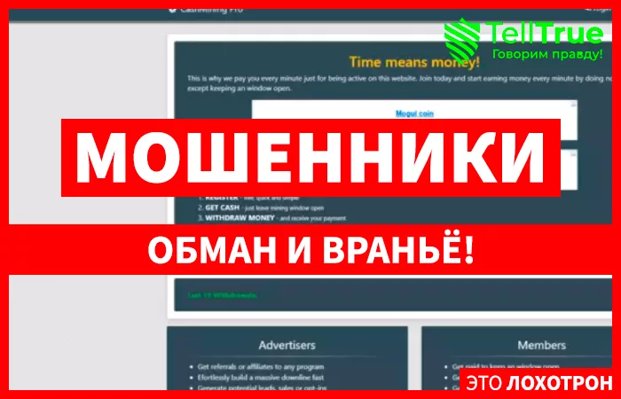 Фейковые Буксы Однодневки (cashmining.pro)