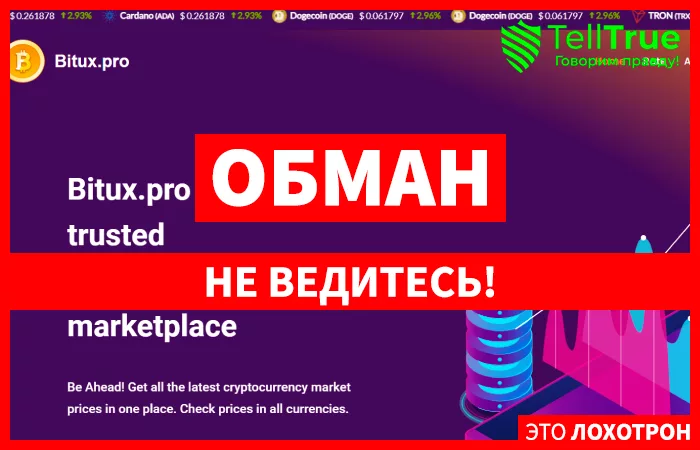 Bitux.pro