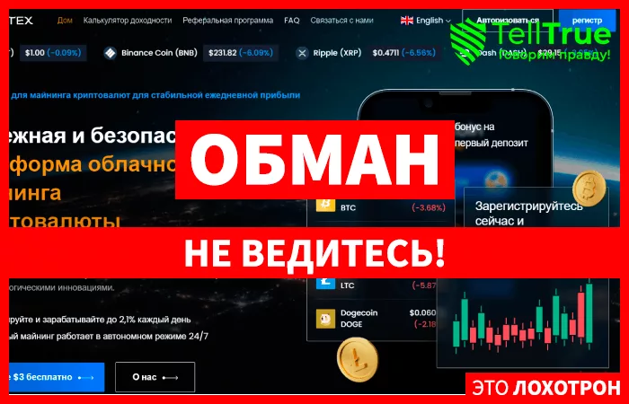 Minitex (minitex.co)