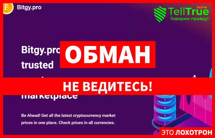 Bitgy.pro