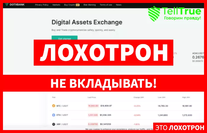Dotxbank (cryptopate.com)
