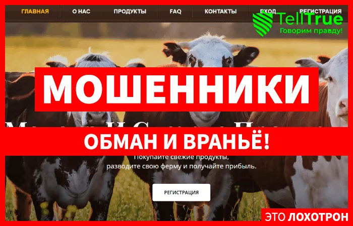 Ranchcoin (ranchcoin.cc)