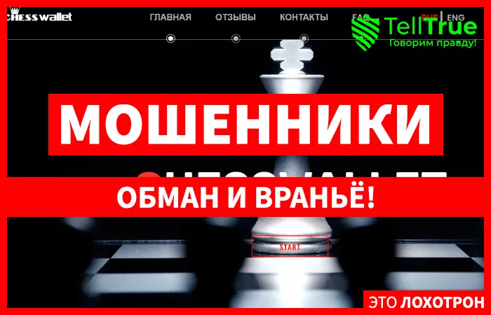 Chesswallet (chesswallet.cc)