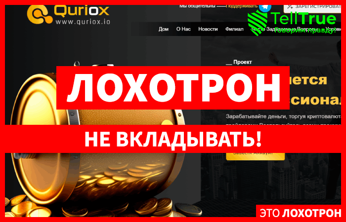 Quriox (quriox.io)