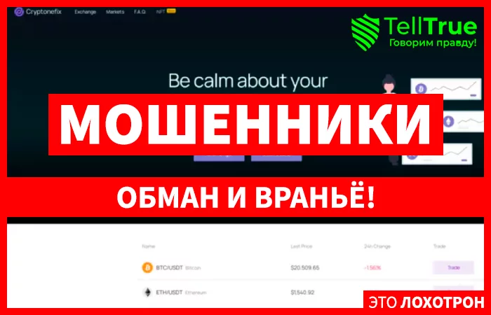 Cryptonefix (cryptonefix.com)