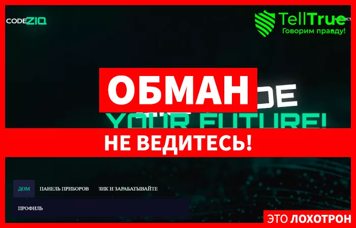 Ziq Code (codeziq.com)