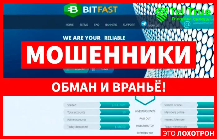 Bitfast (bitfast.cc)