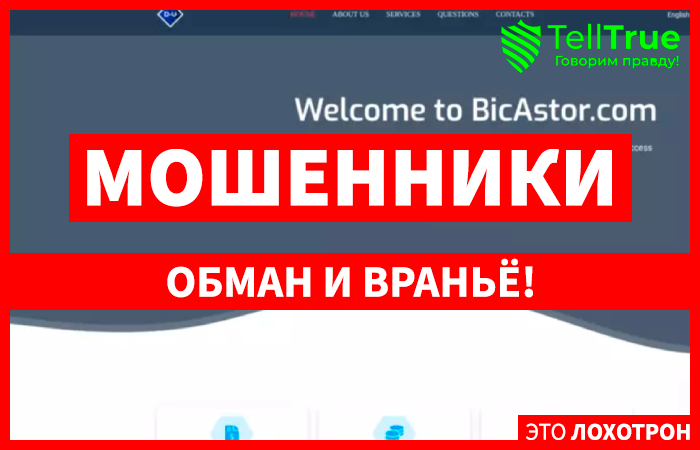 Bicastor (bicastor.com)