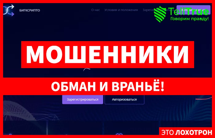 Bigxcrypto Exchange
