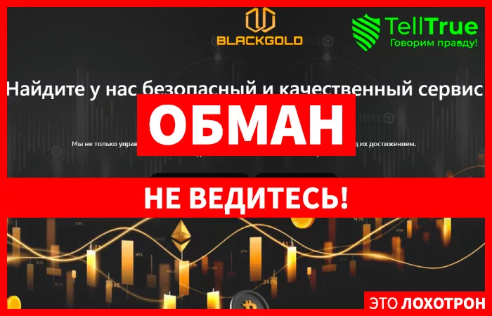 Blackgold-Group (blackgold-group.ltd)