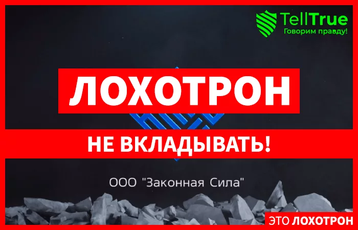 ООО “Законная Сила”