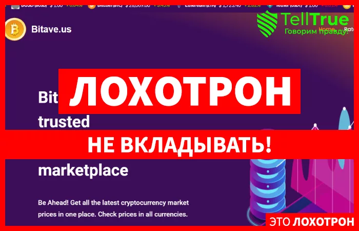Bitave.us