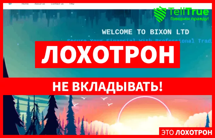 Bixon Ltd (bixon.store)