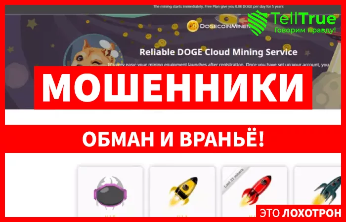 Dogecoin Mining Platform (dogecoinminer.space)