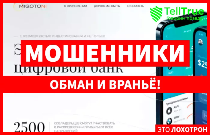 Migoto Ni (migotoni.org)