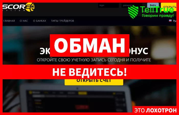 ScoreOption