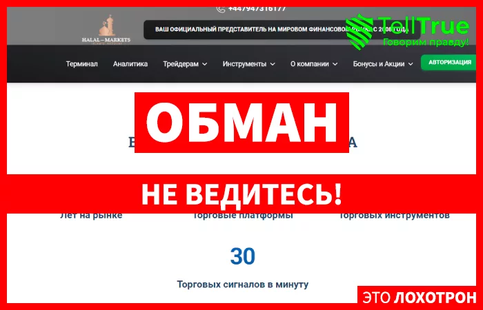 Halal-Markets (halal-markets.website)