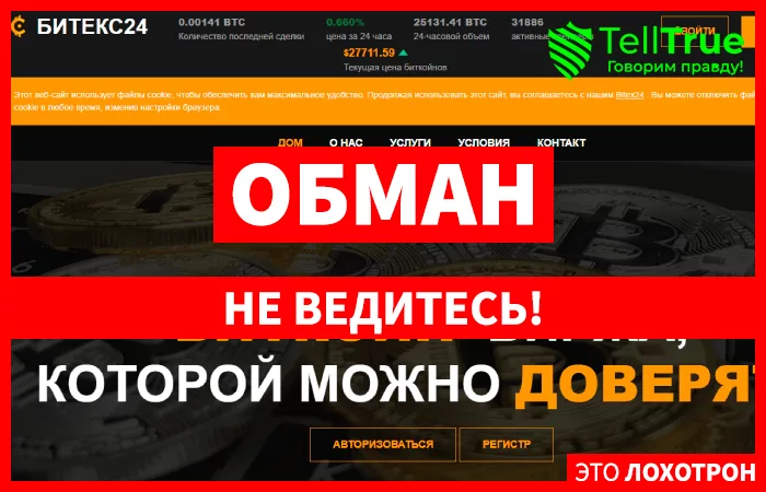 BITEX24