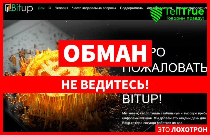 Bitup (bitup.biz)