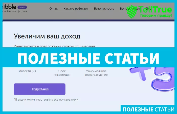 Нибблинвест (nibbleinvest.ru)