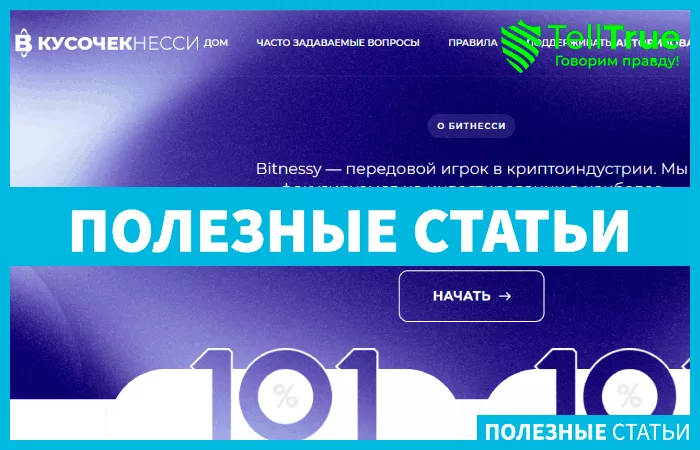 Bitnessy (bitnessy.com)