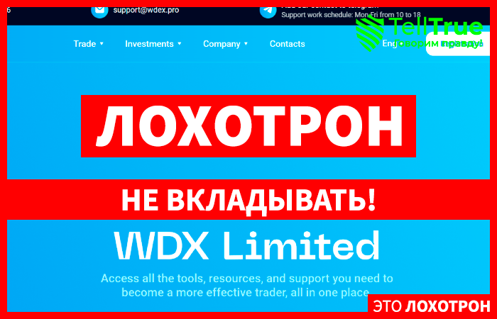 WDX Limited (wdx.ltd)