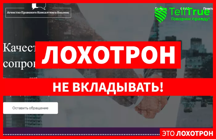vialexagency.com