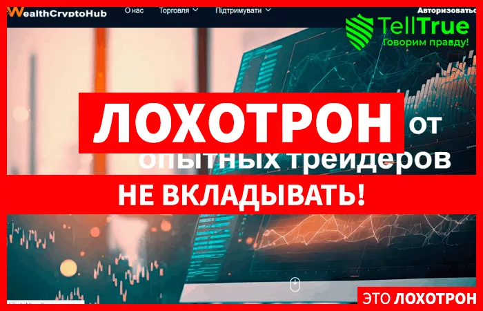 WealthCryptoHub