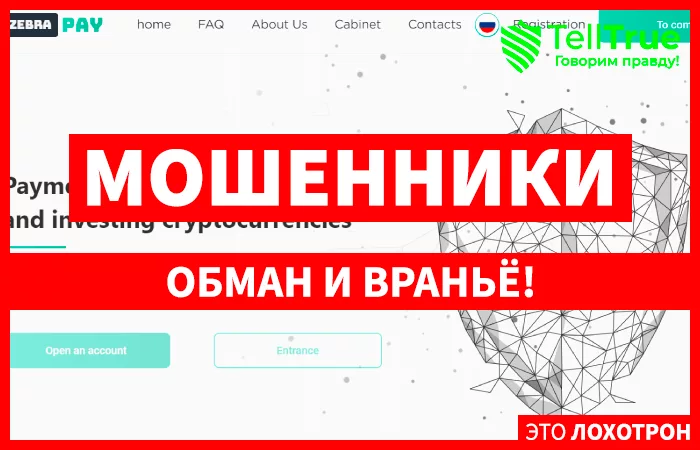 ZEBRA PAY