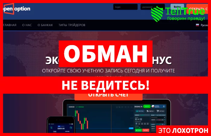 OpenOption