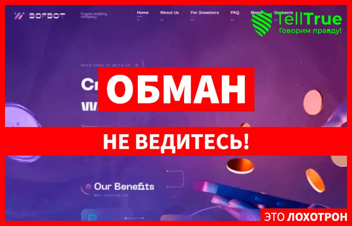 Bofbot Limited (bofbot.com)
