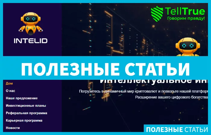 Intelid (intelid.co)