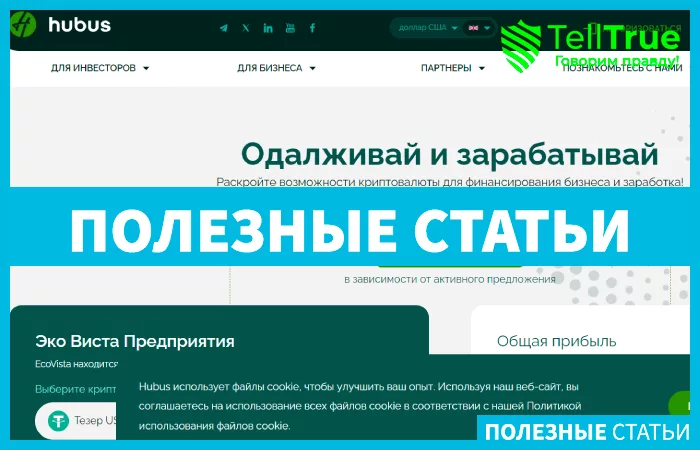 Hubus (hubus.io): обзор и отзывы