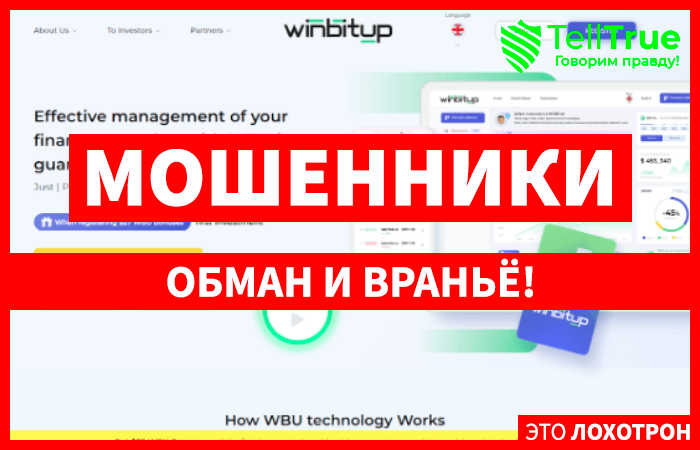 WinBitUp (winbitup.net): обзор и отзывы