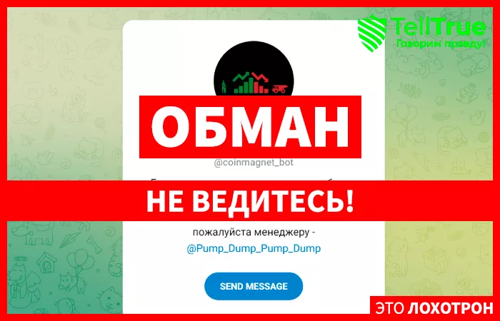 CoinMagnet
